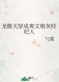 龙傲天穿成爽文炮灰经纪人 作者 勺棠