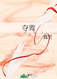夺鸾番外西朝