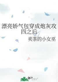漂亮炮灰阅读