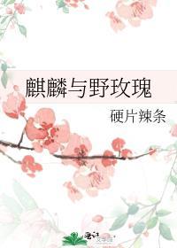 麒麟野玫瑰免费阅读