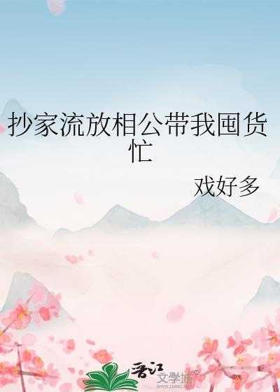 抄家流放相公带我囤货忙格格党