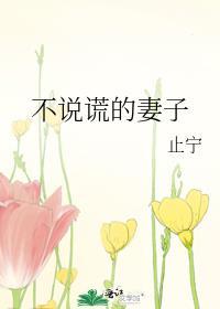 不说谎的妻子番外篇是he吗