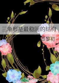 三角形是最稳固的结构TXT