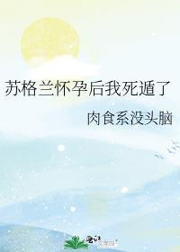 苏格兰troy