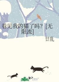 看见他的猫了吗txt