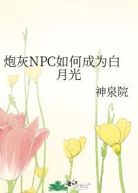 从炮灰npc到大boss