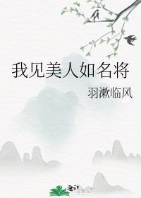 我见美人如名将by羽漱临风好看吗