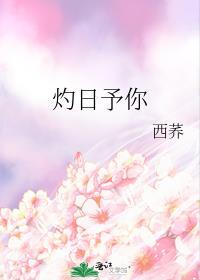 灼日予你txt