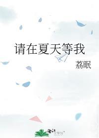 请在夏天等我免费阅