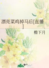 漂亮的菜品图片