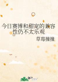 赛博的意思