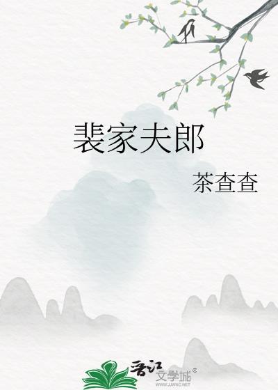 裴家夫郎剧透