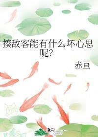 揍敌客能有什么坏心思呢英文