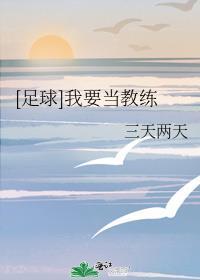 我要当主帅