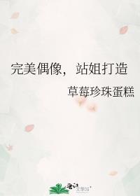 完美偶像解析