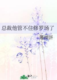 总裁他总不听