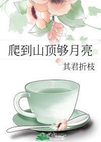爬到山顶够月亮全文免费阅读
