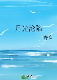 月光沉没肉