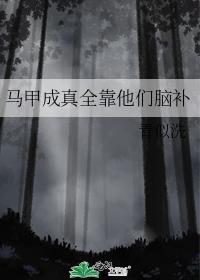 整个马甲配合我干啥