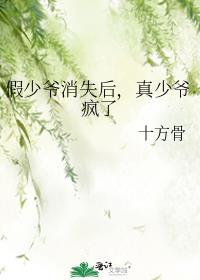 假少爷消失后真少爷疯了