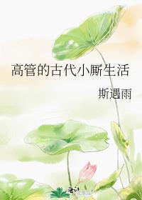 高管的古代小厮生活番外