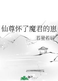 仙尊怀了魔君的崽番外