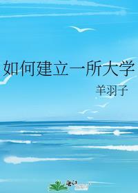 如何建立一所大学全文阅读