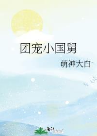 团宠小国舅讲的什么