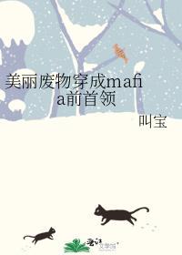 美丽废柴 完结