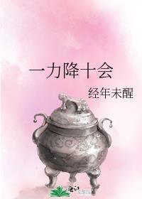 一力降十会和四两拨千斤谁厉害