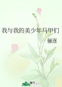 我与我的美少年马甲们63