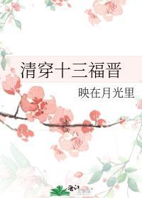 清穿空间十三福晋
