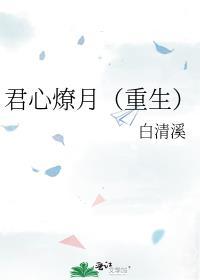 君心燎月(重生) 讲的什么
