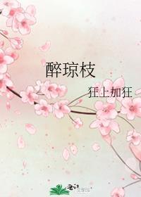醉琼枝无弹窗笔趣阁