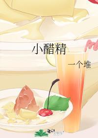 小醋精作者一个堆笔趣阁番外