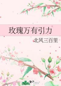 玫瑰万有引力by北风三百里