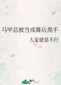 马甲总被当成幕后黑手类似的文
