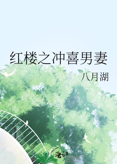 红楼之冲喜男妻全文阅读