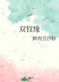 双钗缘txt