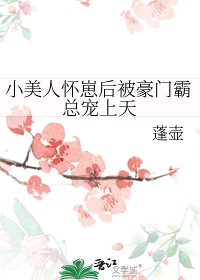 怀孕小美人作家