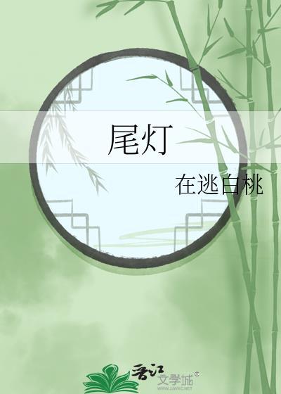 尾灯总成是什么意思