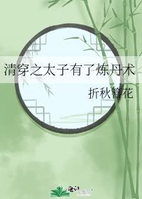 清穿之太子有了炼丹术txt