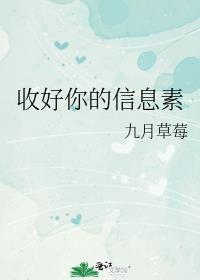 收好你的信息素全文免费阅读