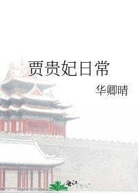 贾贵妃日常评论
