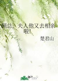 顾总 夫人马甲又掉了