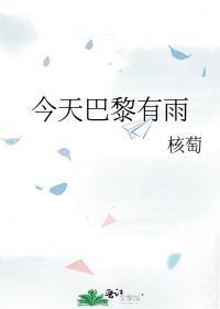 今天巴黎有雨 核萄