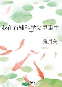 我在首辅科举文里重生了txt