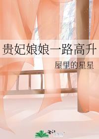 贵妃娘娘一路高升txt