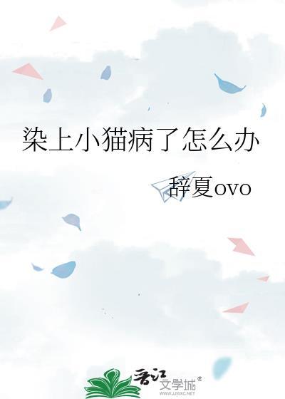 小猫得了传染病