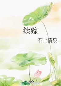续嫁石上清泉笔趣阁免费阅读